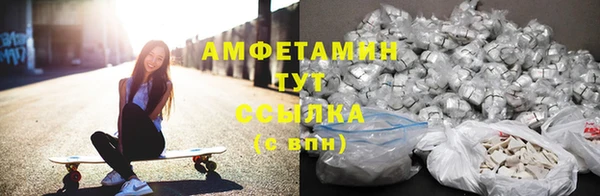 крисы Баксан