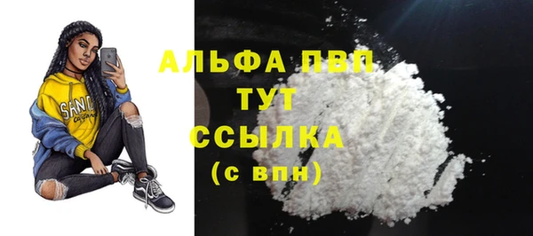крисы Баксан