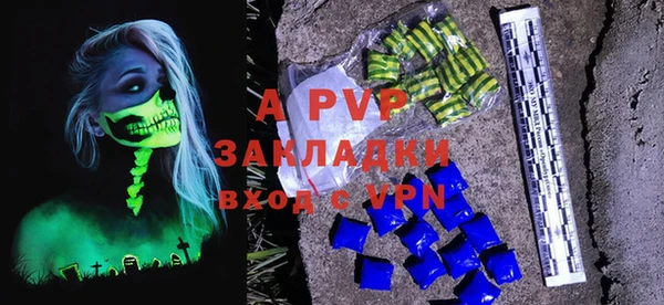 крисы Баксан