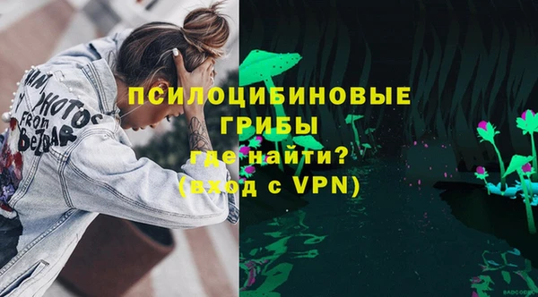 крисы Баксан