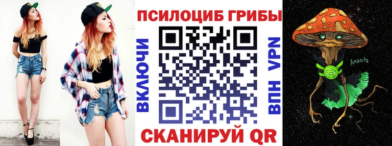 Псилоцибиновые грибы Psilocybe Новый Уренгой