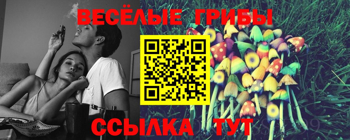 купить наркоту  Вход с VPN  Новый Уренгой  Псилоцибиновые грибы MAGIC MUSHROOMS 