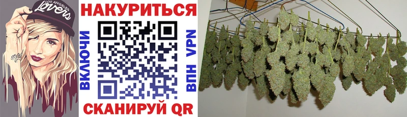 где купить наркотик  Новый Уренгой  МАРИХУАНА гибрид 